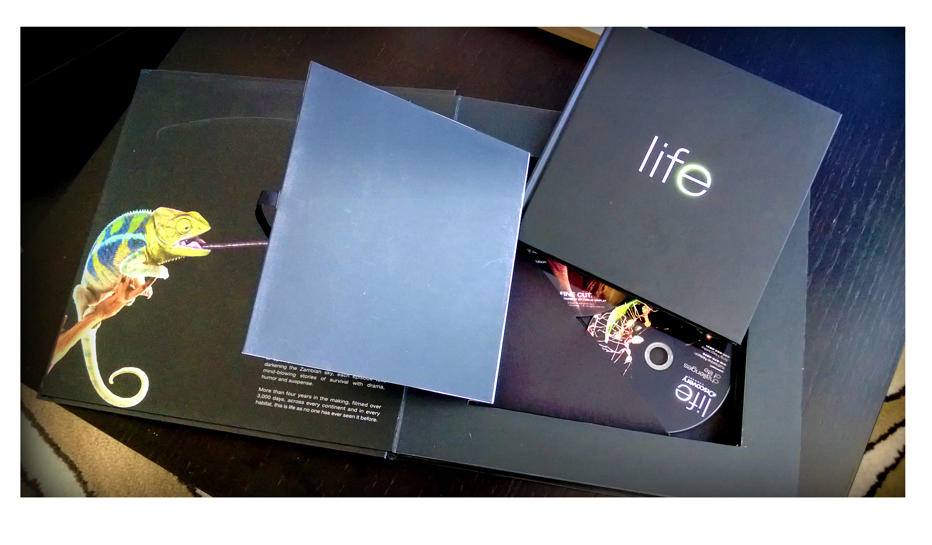 DISCOVERY LIFE — slide 1