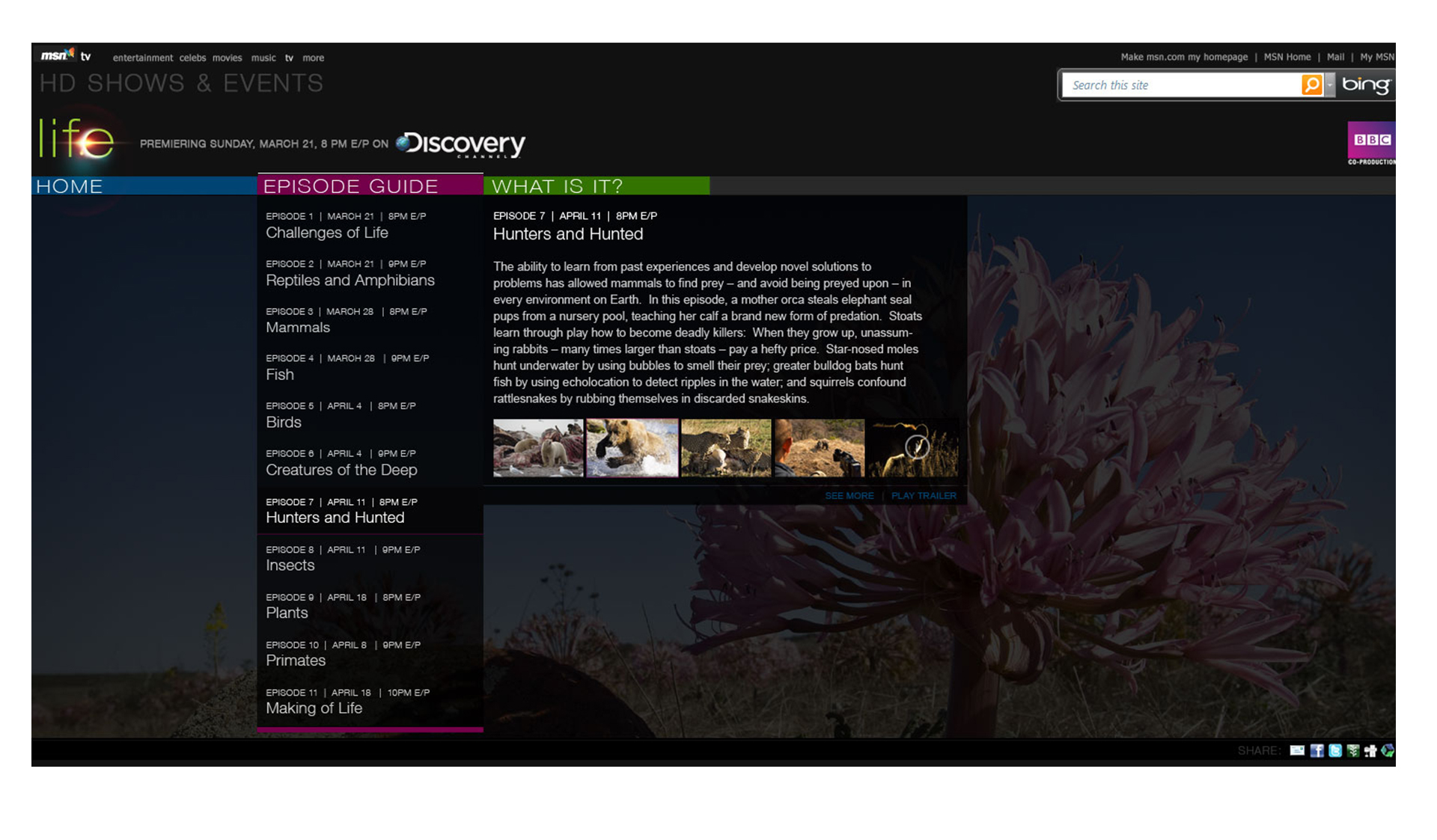 DISCOVERY LIFE — slide 3