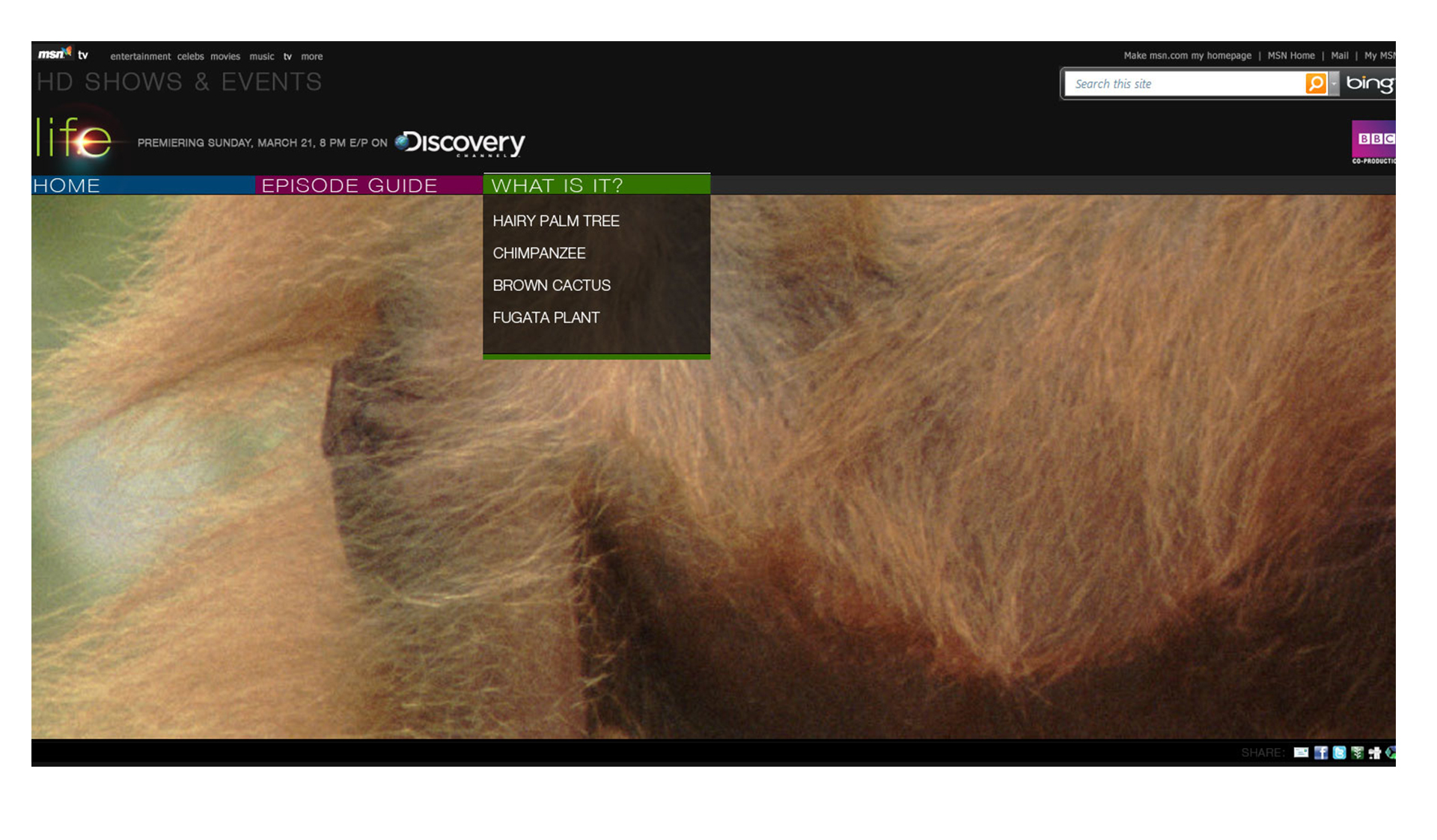 DISCOVERY LIFE — slide 5